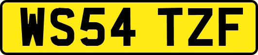 WS54TZF