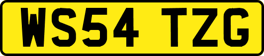 WS54TZG