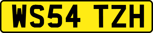 WS54TZH