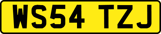 WS54TZJ