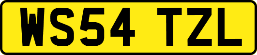 WS54TZL