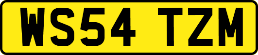 WS54TZM