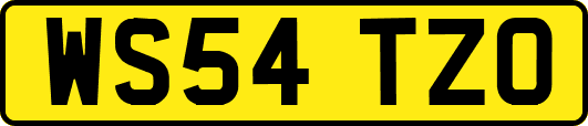 WS54TZO