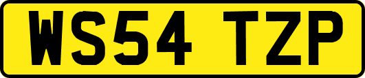 WS54TZP