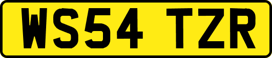 WS54TZR