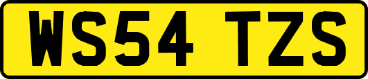 WS54TZS