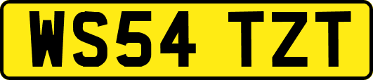 WS54TZT