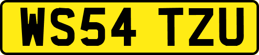 WS54TZU
