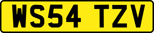 WS54TZV
