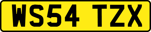 WS54TZX