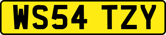 WS54TZY