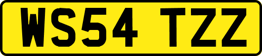 WS54TZZ