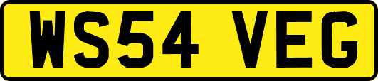 WS54VEG