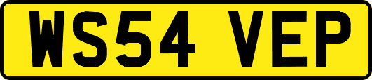WS54VEP