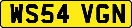 WS54VGN