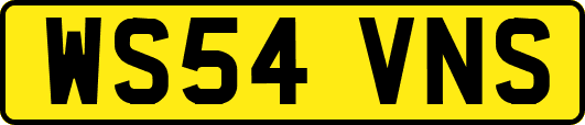 WS54VNS