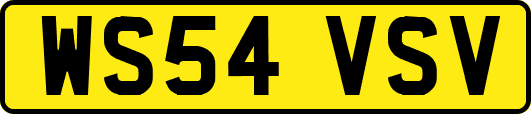 WS54VSV
