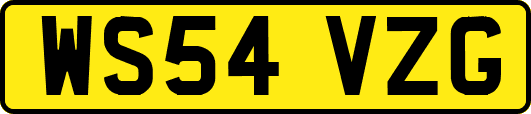 WS54VZG