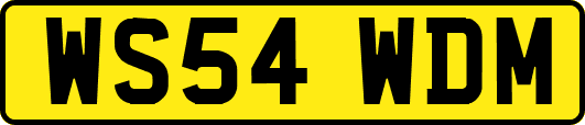 WS54WDM