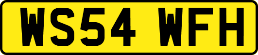 WS54WFH