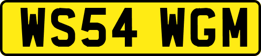 WS54WGM