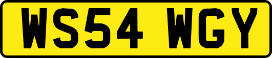 WS54WGY
