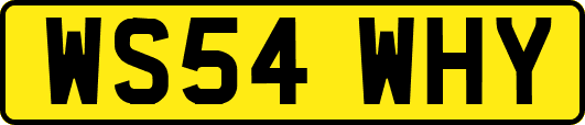 WS54WHY