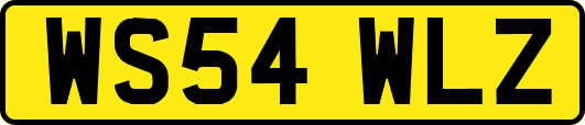 WS54WLZ