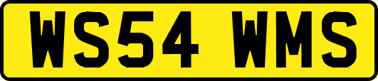 WS54WMS