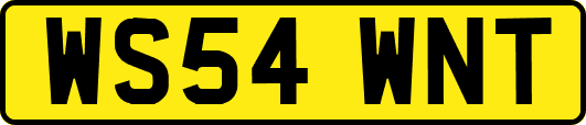 WS54WNT