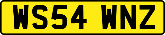 WS54WNZ