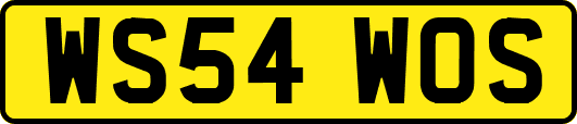 WS54WOS