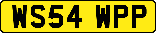 WS54WPP