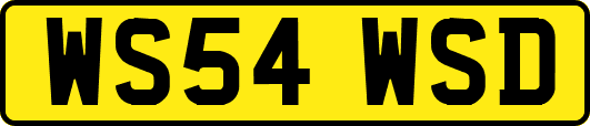 WS54WSD