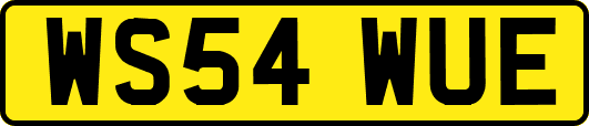 WS54WUE