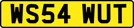 WS54WUT