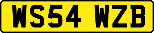 WS54WZB