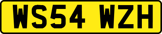 WS54WZH