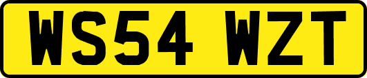 WS54WZT