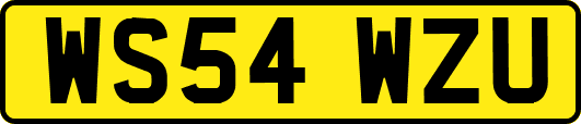 WS54WZU