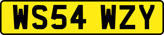 WS54WZY