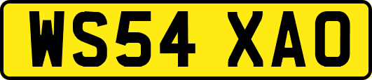 WS54XAO