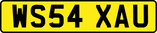 WS54XAU