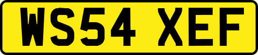 WS54XEF