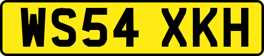 WS54XKH