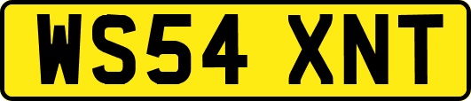 WS54XNT