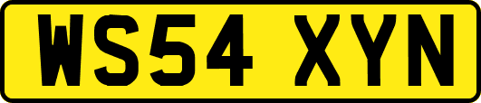 WS54XYN