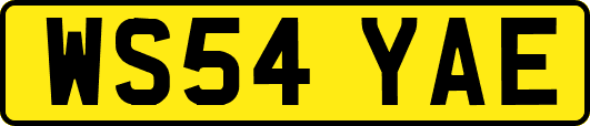 WS54YAE