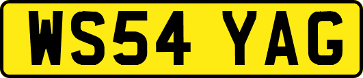 WS54YAG