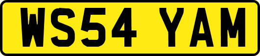 WS54YAM